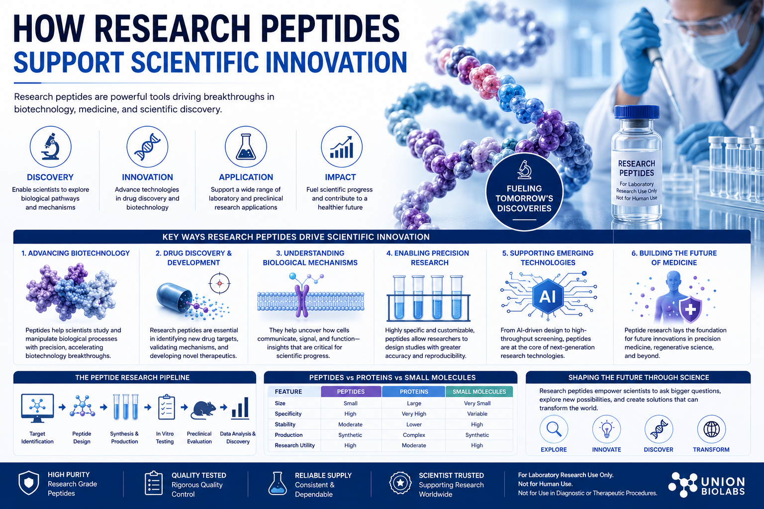How Research Peptides Support Scientific Innovation | Union Biolabs